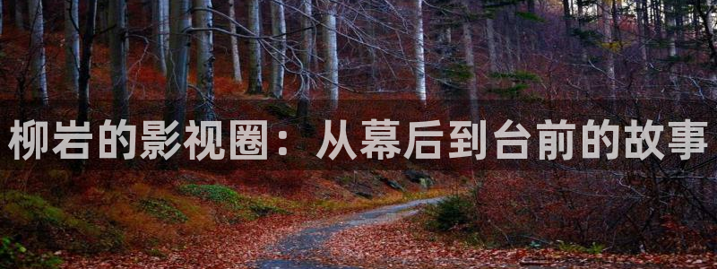 金牌特勤队2024电影在线观看