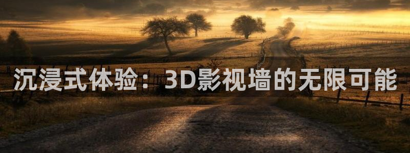 金牌影院最新高清电影：沉浸式体验：3D影视墙的无限可能