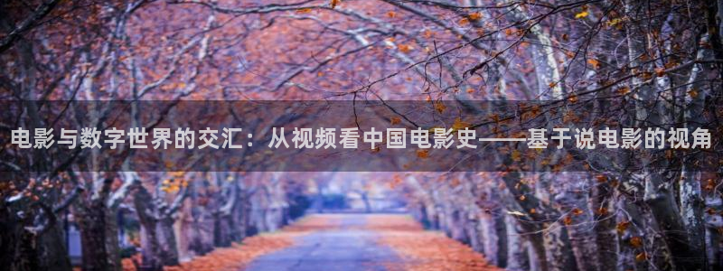 卿卿日常金牌影院：电影与数字世界的交汇：从视频看中国电影史——基于说电影的视角