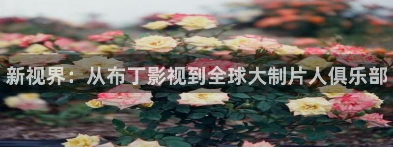 金牌特勤队电影：新视界：从布丁影视到全球大制片人俱乐部