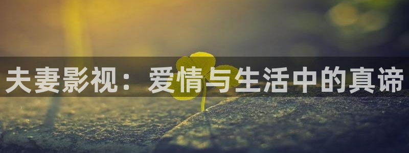 金牌影院电视剧免费播放在线观看全集