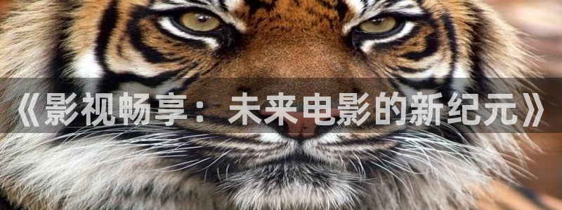 金牌影院电视剧免费播放在线观看：《影视畅享：未来电影的新纪元》