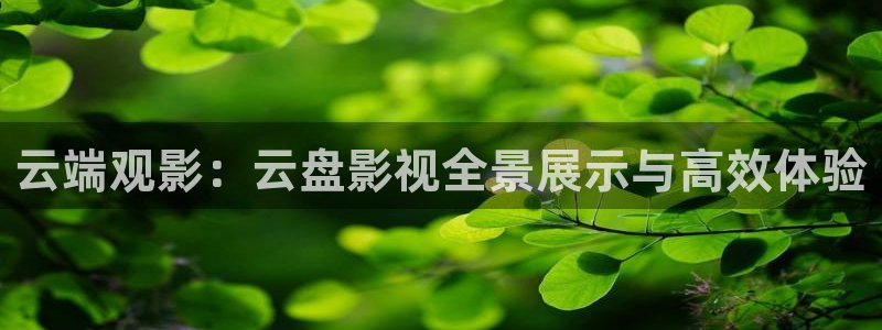 金牌影