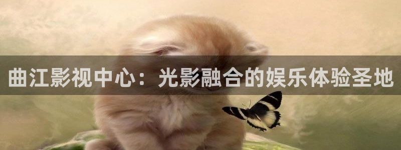 金牌影院最新影视大全